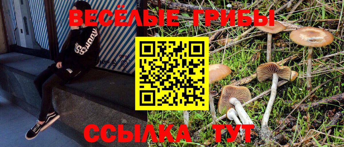 Галлюциногенные грибы ЛСД Псков