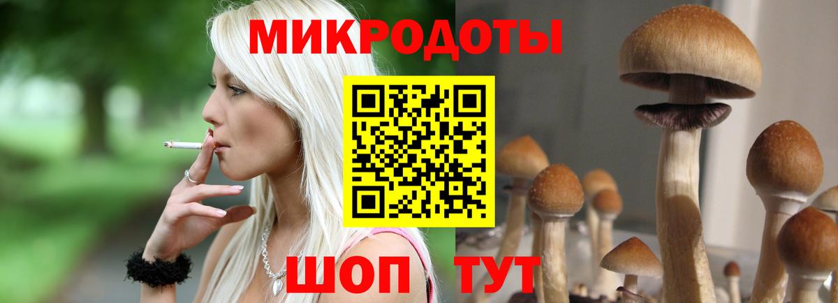 купить закладку  Вход с VPN  Псилоцибиновые грибы Psilocybe  Псков  Галлюциногенные грибы Magic Shrooms 